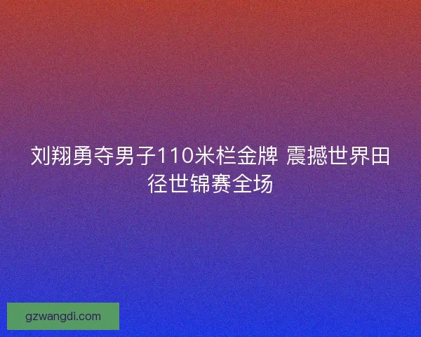 刘翔勇夺男子110米栏金牌 震撼世界田径世锦赛全场 刘翔勇夺男子110米栏金牌 震撼世界田径世锦赛全场