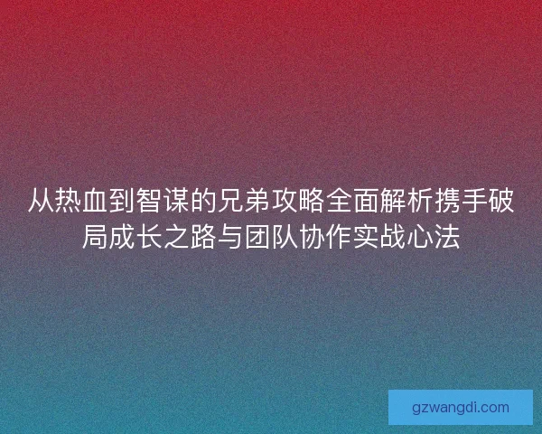 从热血到智谋的兄弟攻略全面解析携手破局成长之路与团队协作实战心法