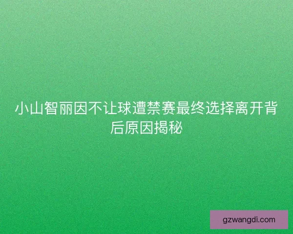 小山智丽因不让球遭禁赛最终选择离开背后原因揭秘 小山智丽因不让球遭禁赛最终选择离开背后原因揭秘